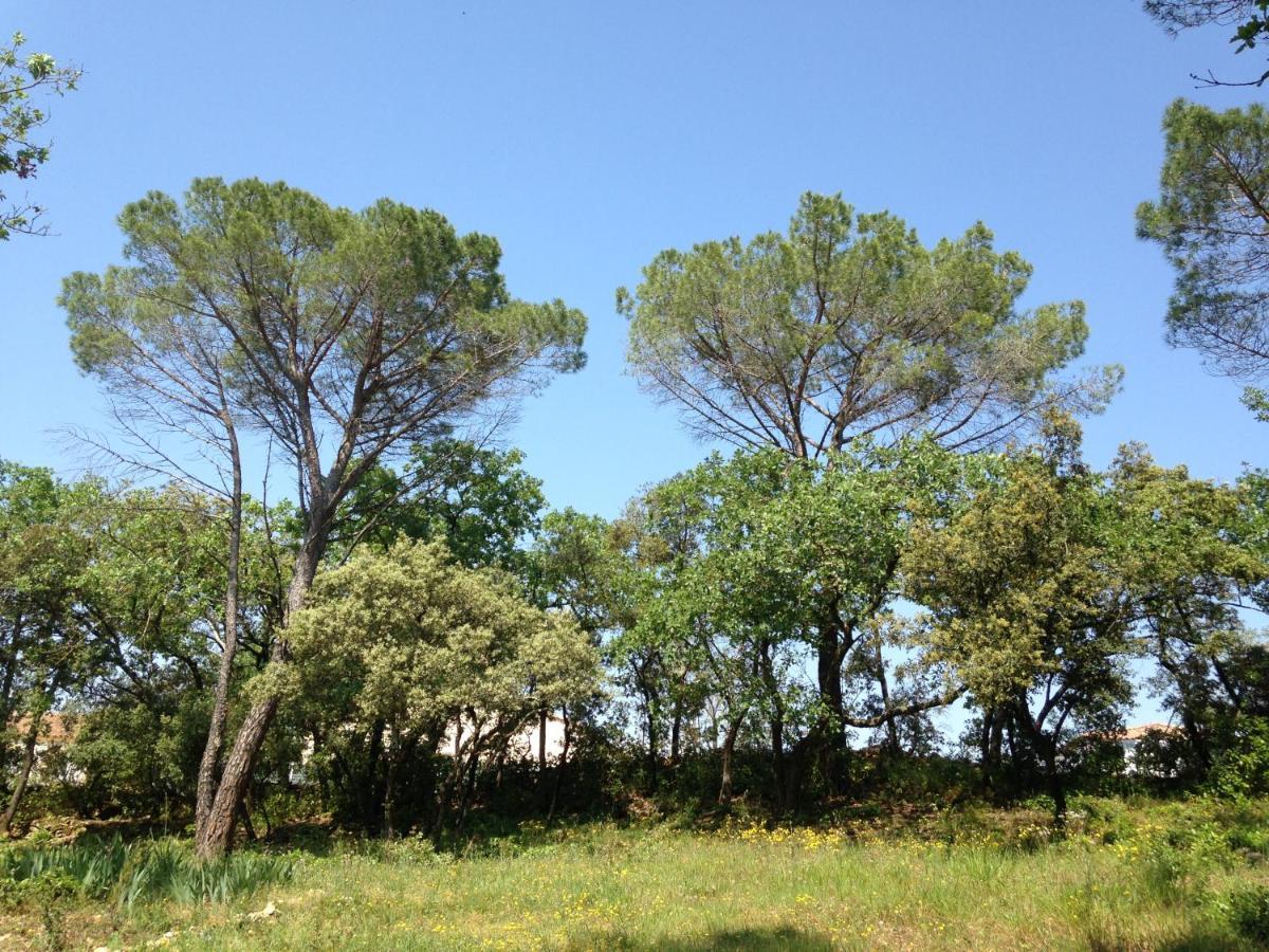 Bed and Breakfast Les Marguerites Vers-Pont-du-Gard Exterior foto