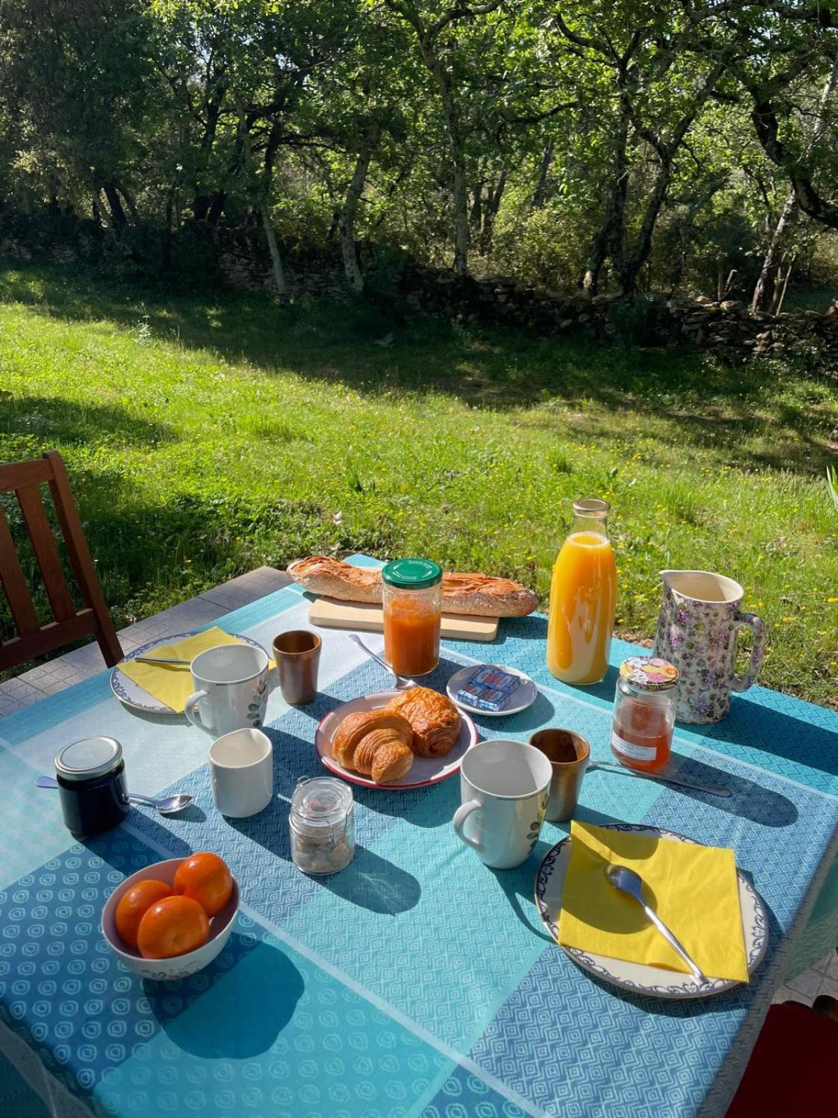 Bed and Breakfast Les Marguerites Vers-Pont-du-Gard Exterior foto
